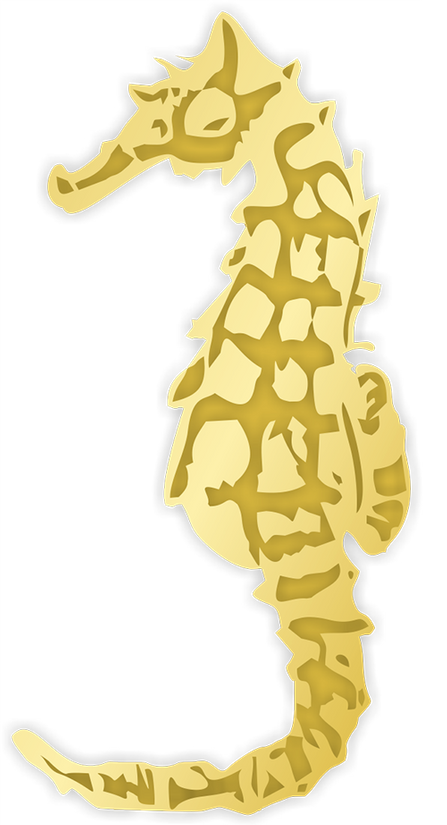 Water is Gold
